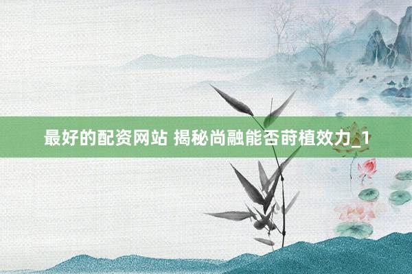 最好的配资网站 揭秘尚融能否莳植效力_1